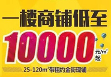 熱度持續(xù)不減！10000元/平米起買真金現(xiàn)鋪